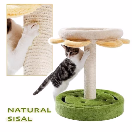 pisicile sisal